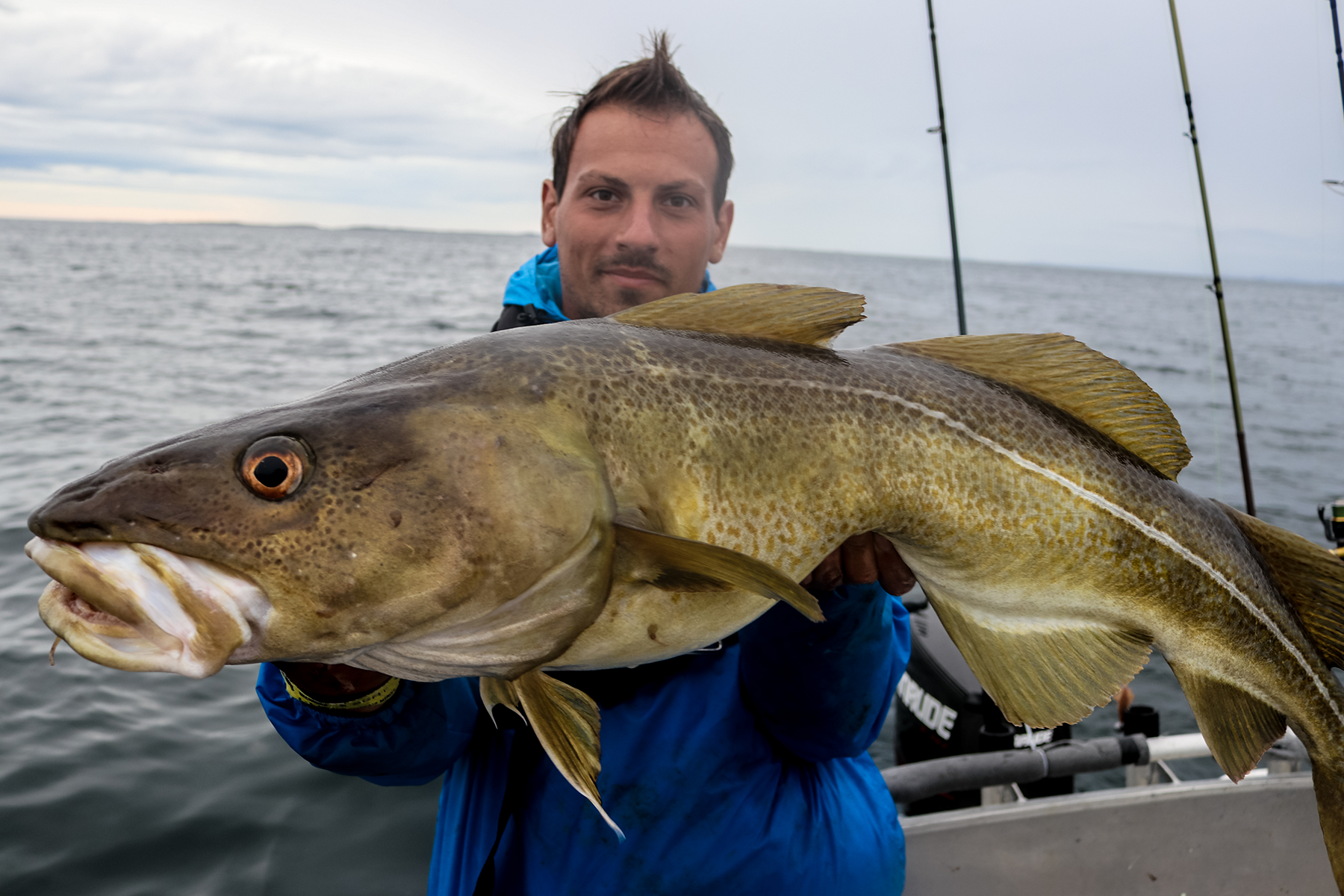 Florian Cod Catch